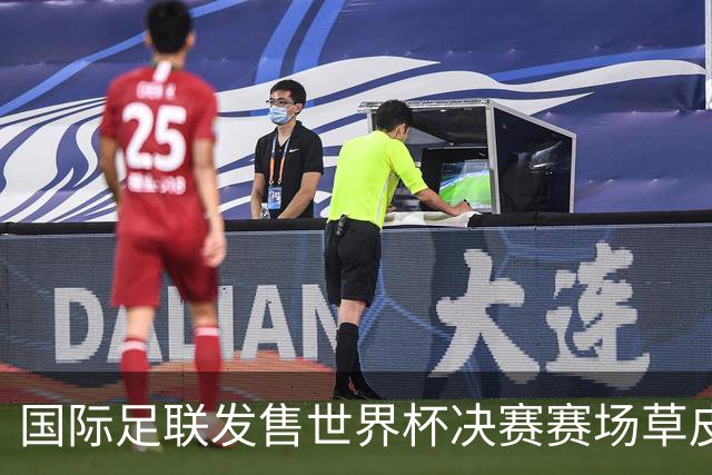 国际足联发售世界杯决赛赛场草皮 450美元一份