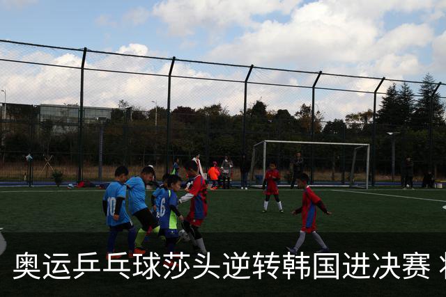 奥运乒乓球莎头逆转韩国进决赛 将与朝鲜组合争冠